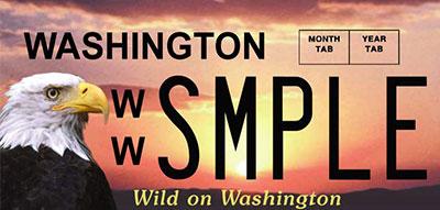 Wild on Washington (eagle) license plate